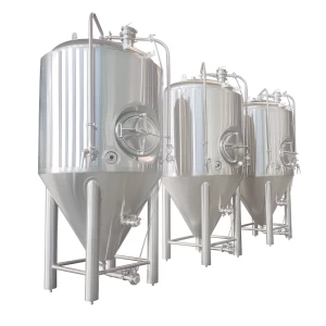customized capacity 10HL 15HL 20HL 30HL 60HL brewing fermenters unitanks craft beer brewery brewing company