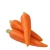 Import HIgh End Export Quality Fresh Carrots from China