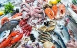 Good Quality Fresh Frozen Seafood Tilapia Fillets,Pollock