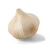 Import Fresh Clove Garlic – Premium Grade for Culinary and Medicinal Use from Kenya