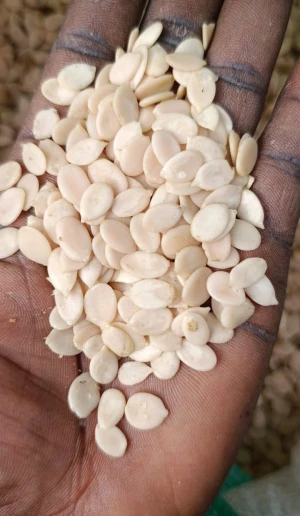 Melon seed