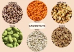 CASHEW 320WW