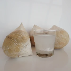 Fresh Young Aromatic Coconut From Thailand