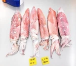 Frozen Squid Loligo Block