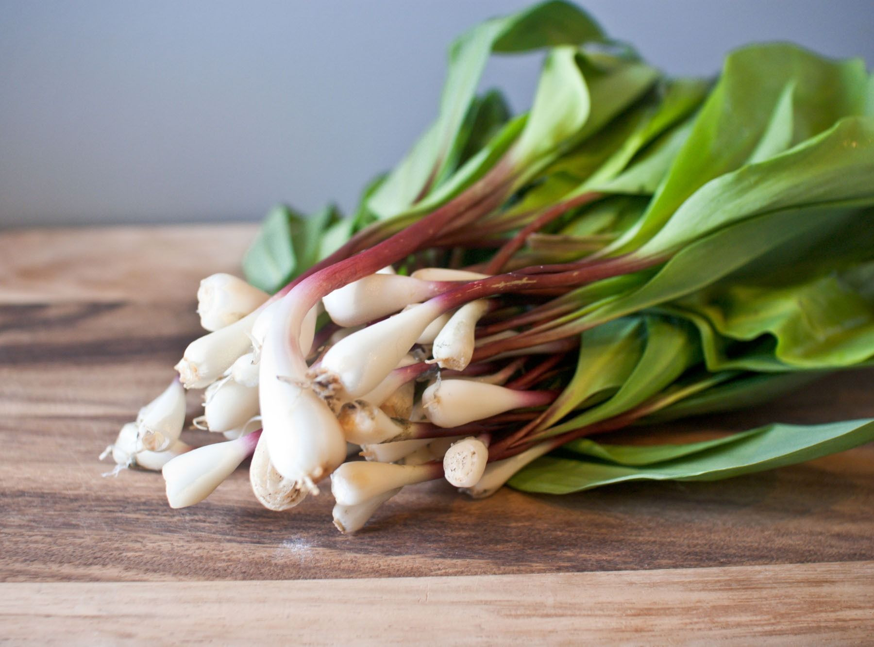 Buy Natural Ramps Onions For Cooking from Afrivet Trading Services ...