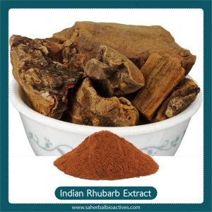 Indian Rhubarb Extract