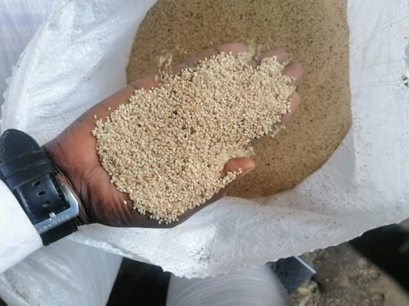 Buy Sesame Seeds from MOTOFA RESOURCES LIMITED, Nigeria | Tradewheel.com