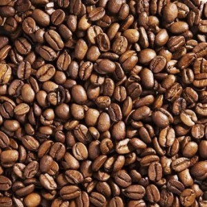 High Quality Robusta/ Arabica Coffee beans for sale at moderate prices