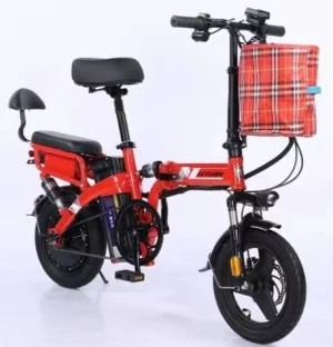 2024 Special Electric folding bike 48V 350W electric city bike