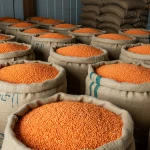 Export Ready Dried Red Lentil Carefully Selected Red Lentil For Long Distance Shipping And Bulk Trade