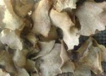 KONJAC CHIPS