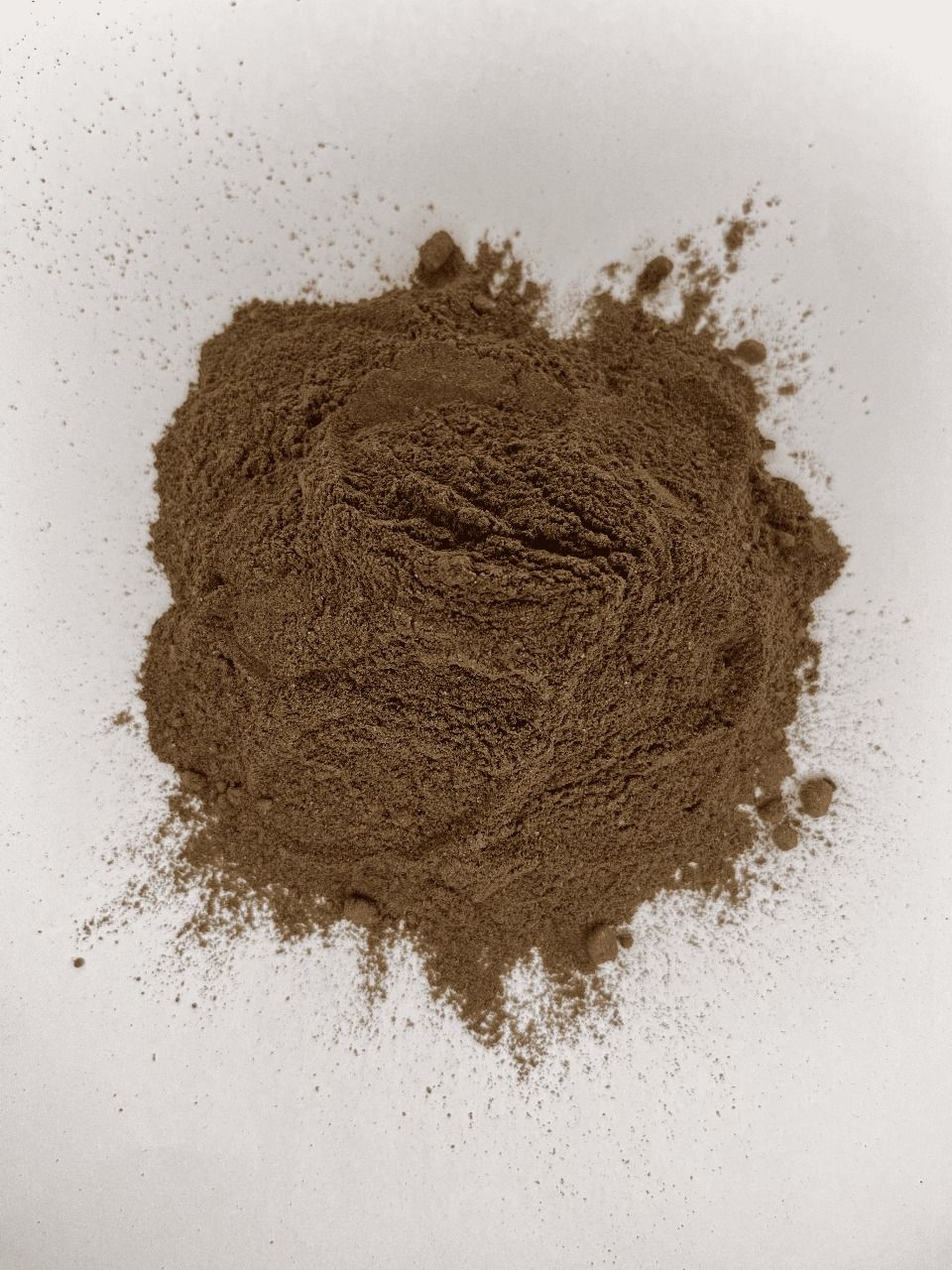 Buy [sga] Alkalized Cocoa Powder from PT Pelita Kakao Nusantara ...