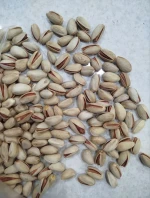 Premium Iranian Akbari Pistachios – Raw, In-Shell
