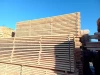 Pine (Pinus Sylvestris) lumber