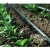 1 2 inch polyethylene emitter irrigation tube drip irrigation system water tubes