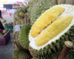 100% Cheap Fresh Durians