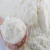 Import 100% Pure Goat Milk Powder available in bulk from France