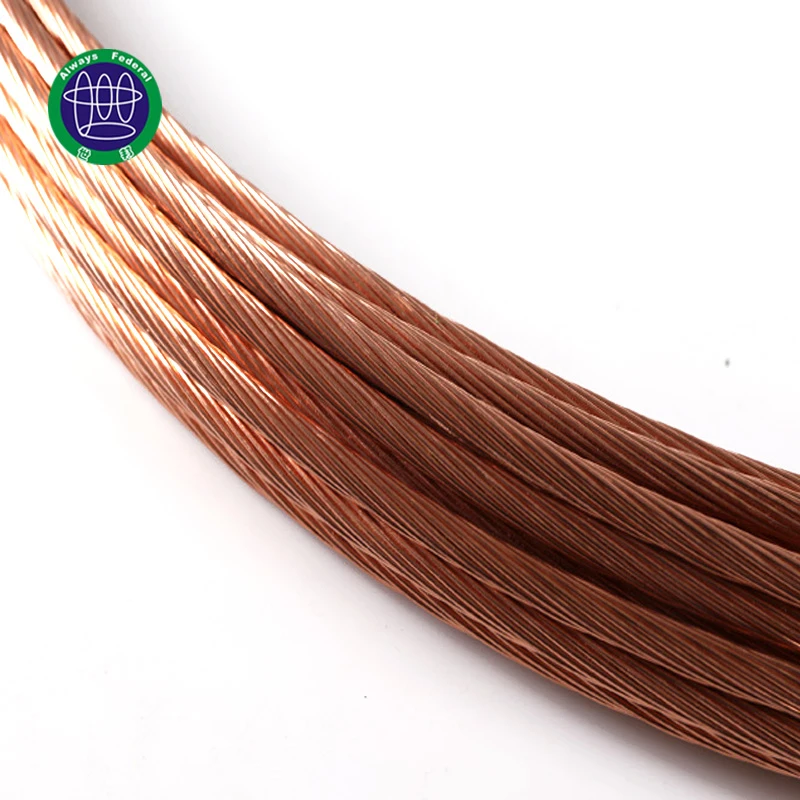 2 Core Flat Cable Wire , CCS Copper Clad Steel Wire