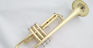 2017 Hotsale High Quality B Flute Wholesale Metal Coloured Flute H-100L