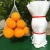 Import 2018 high quality pe fruit net bag making machine from China