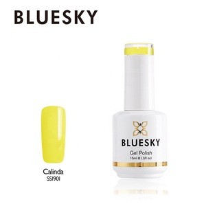 2019 Bluesky New Kit Gel UV polish Special Art Nail Polish SPRING Color