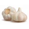 2020 chinese best fresh natural garlic price - new crop