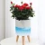 Import 2020 Factory wholesale cheap garden round shape small the lazy self watering plastic flower pot from China
