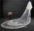 Import 2021 wholesale new long lace bridal dress veil long Tulle embroidered lace bridal dresses wedding veils HL12 from China