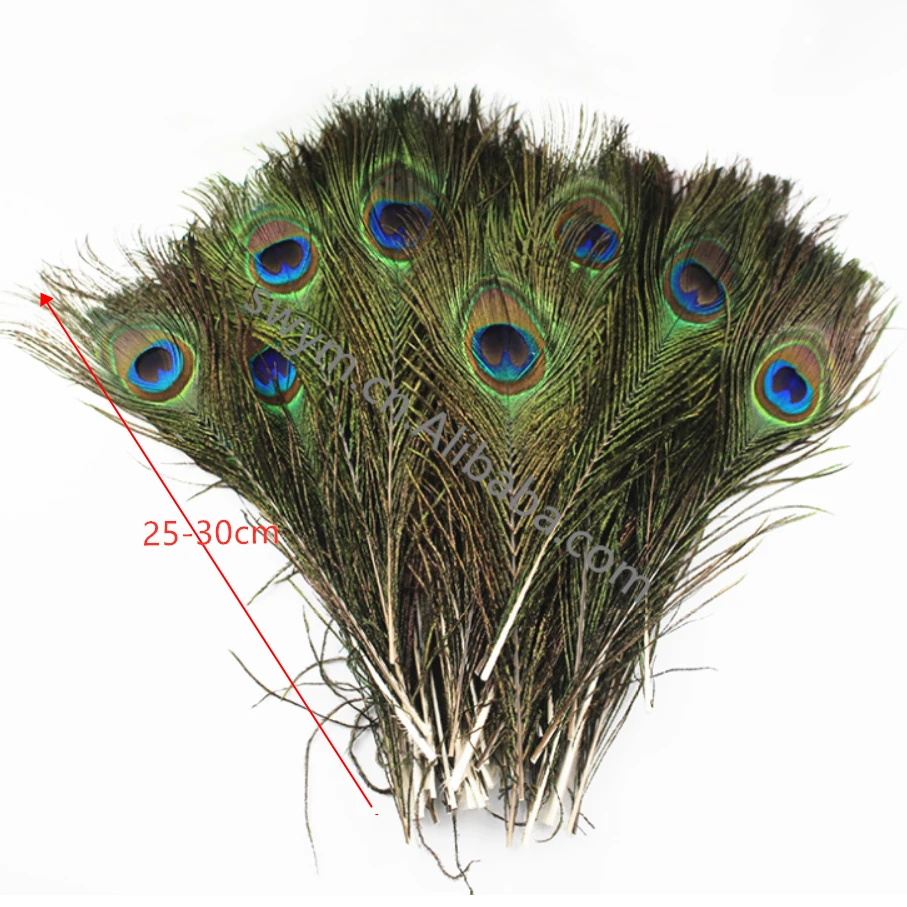 25-120cm Wholesale Natural Peacock Feathers Indian Peacock Feather