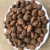 25-500Kg/Hour Cocoa Bean Nut Roasting Machine  Peanut Roaster Machine