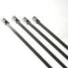 304 316 stainless steel cable ties For Wire Accessory