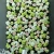 40X60cm Silk Hydrangea Wedding Decoration Backdrop Plastic Silk Rose Blush Flower Wall Backdrop
