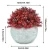 Import 4PCS Mini Plastic Artificial Plants Potted Plants Artificial Topiary Shrubs Grass Flower For Desk from China