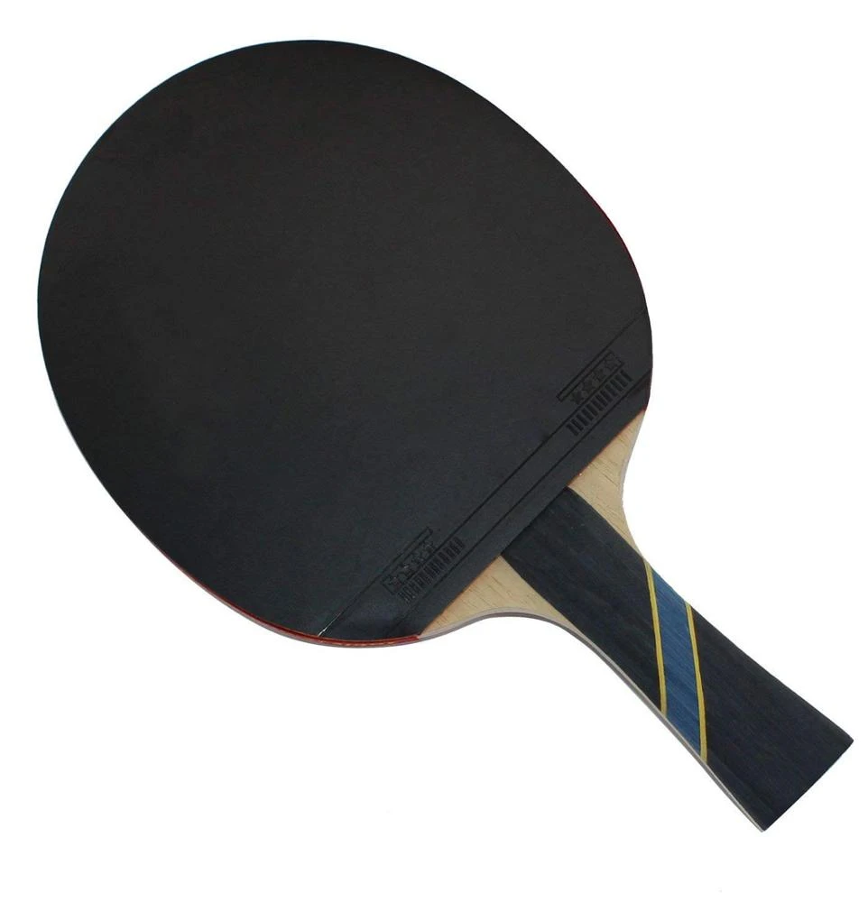 5 Star Professional PingPong Paddle Advanced Training Table Tennis Racket with Carry Case (2PCS)