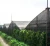 Import 70% black agricultural pe net shade for orchids in vietnam from China