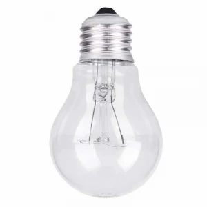 A55 Incandescent lamp light bulb 75W 220V/110V Clear/frosted surface Edison bulb