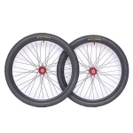 Adult bike assembled wheel