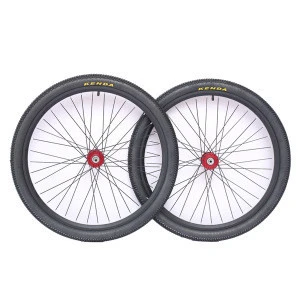 Adult bike assembled wheel