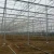 Import agricultural plastic sheet greenhouse cover polyethylene greenhouse plastic film with uv protection from China