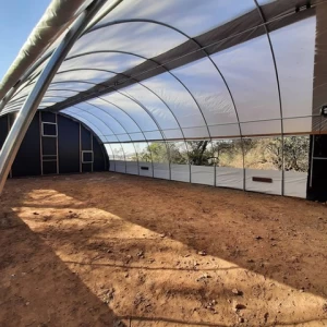 Agriculture single-span Arch Plastic Film Greenhouse Tomato Greenhouse And Strawberry Greenhouse