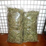 Timothy Hay, Rhode Hay wholesale price