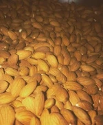 Almond Kernels/Good quality Almond Nuts/Almond Without Shell