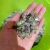 Import Amazonite Stone Chips Natural Quartz Crystal tumbled stone from China