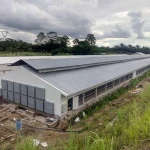 Animal cage,pig farm house design