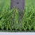 Import Artificial Grass Artificial Carpet Grass Soccer Synthetic Turf Landscaping PP+MESH+SBR 20-40mm 500 Sqm Binteng 8800D BT103 PP+PE from China