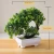 Import Artificial plant mini bonsai artificial plants and flowers from China