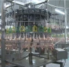 Auto Corpor Chicken slaughtering equipment automatic evisceration