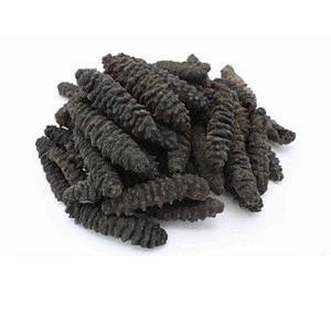 Available Natural Sun Dried Sea Cucumber