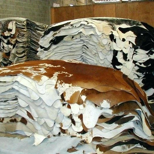 Available Wet Salted Donkey Hides/ Cow Hides/Sheep / Goat Skin SALES
