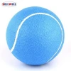 Bellwell Competitive Price Eco-friendly Lawn Personalized Inflatable Tennis Ball